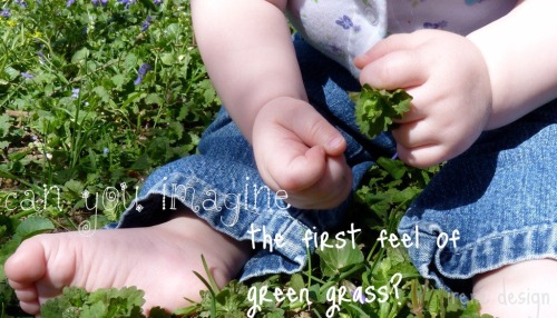 baby hands exploring grass